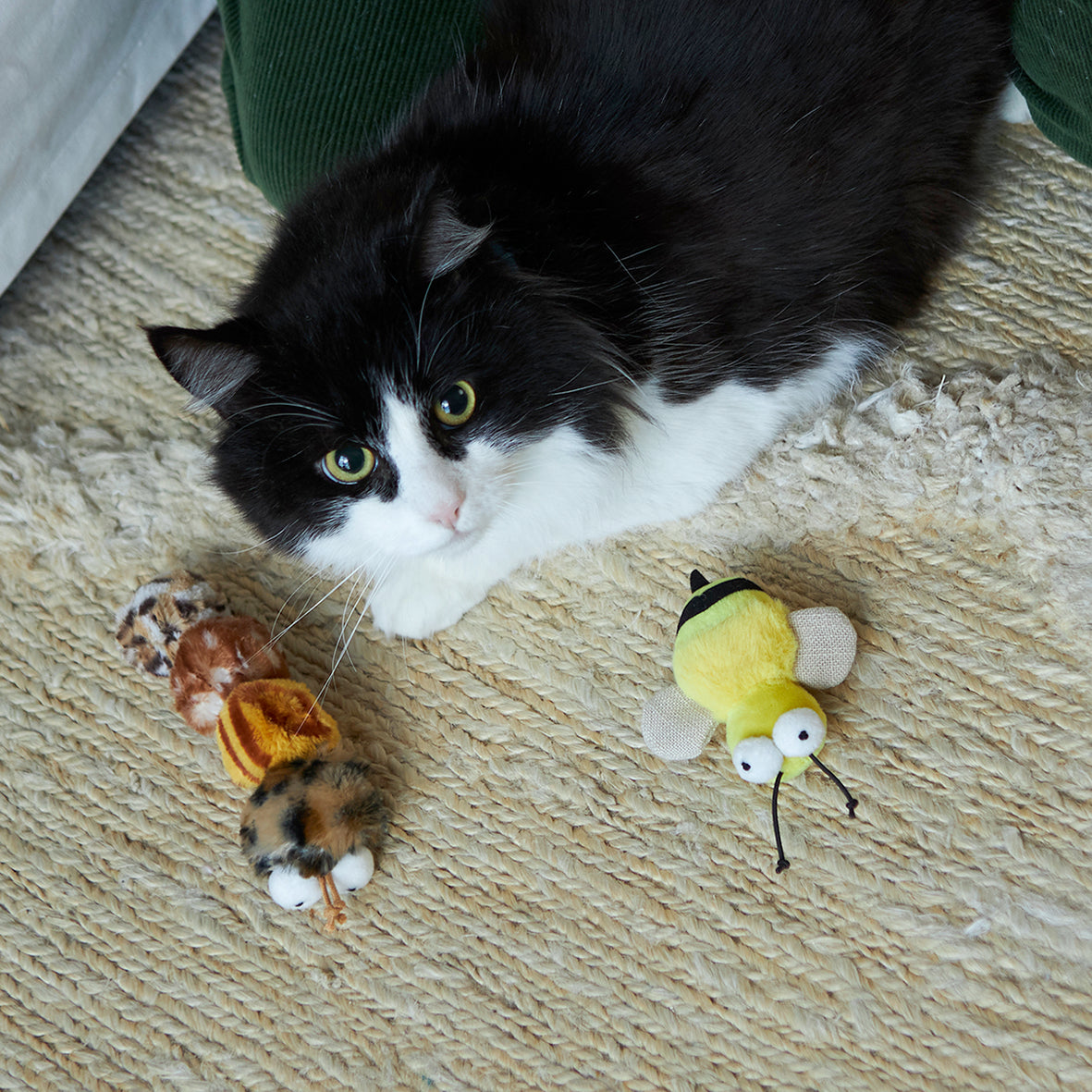Noisy Busy Bee with sound chip and catnip Kazoo Pet Co