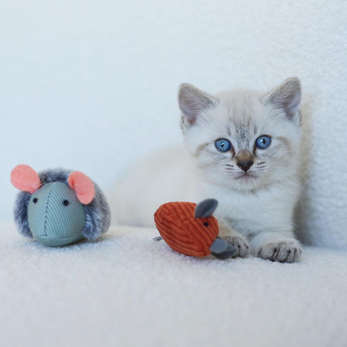 Noisy best sale cat toys
