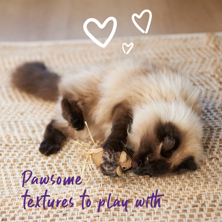 Sneaky Mouse with cardboard and straw