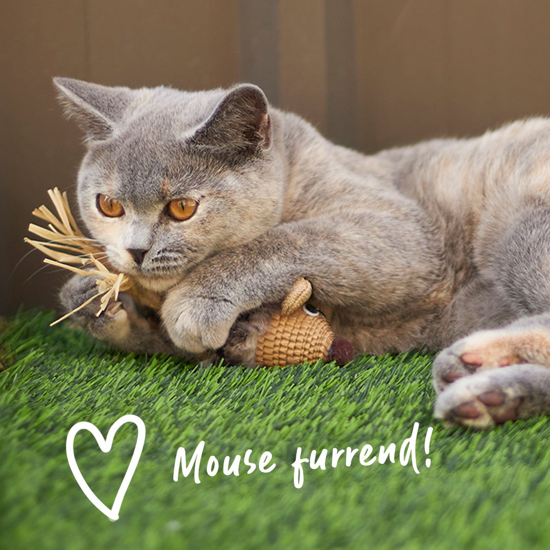 Sneaky Mouse with cardboard and straw