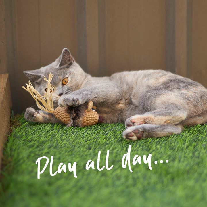 Sneaky Mouse with cardboard and straw