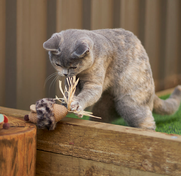 Sneaky Mouse with cardboard and straw