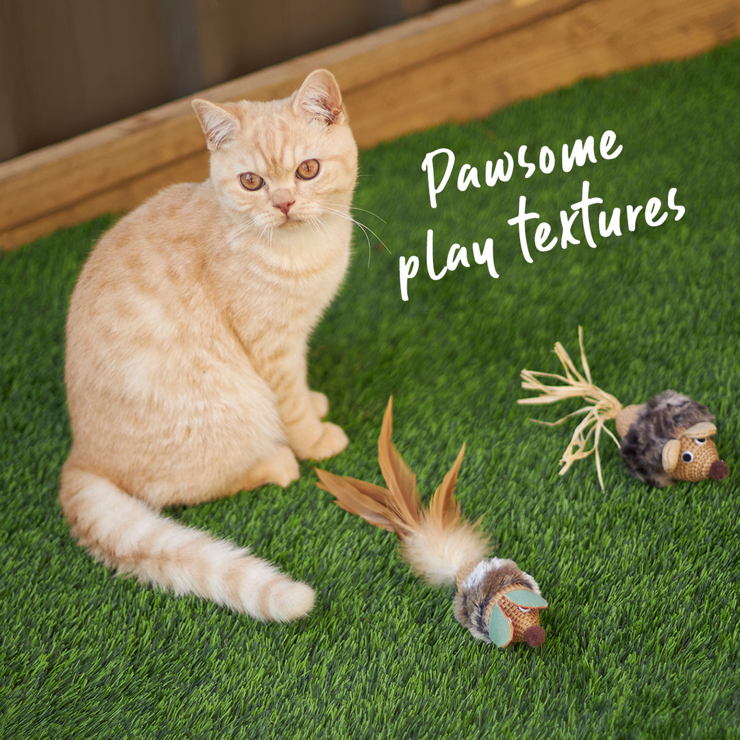 Sneaky Mouse with cardboard and straw