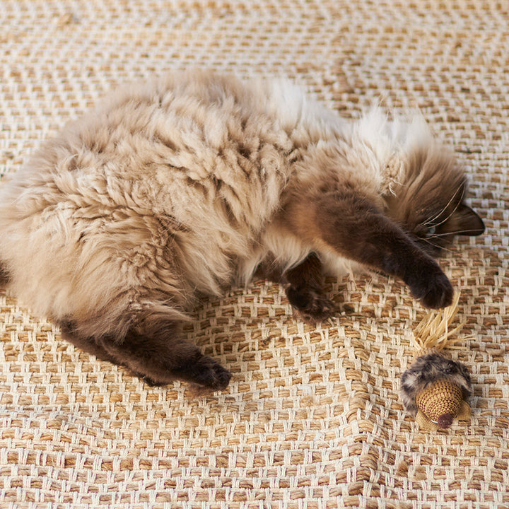 Sneaky Mouse with cardboard and straw