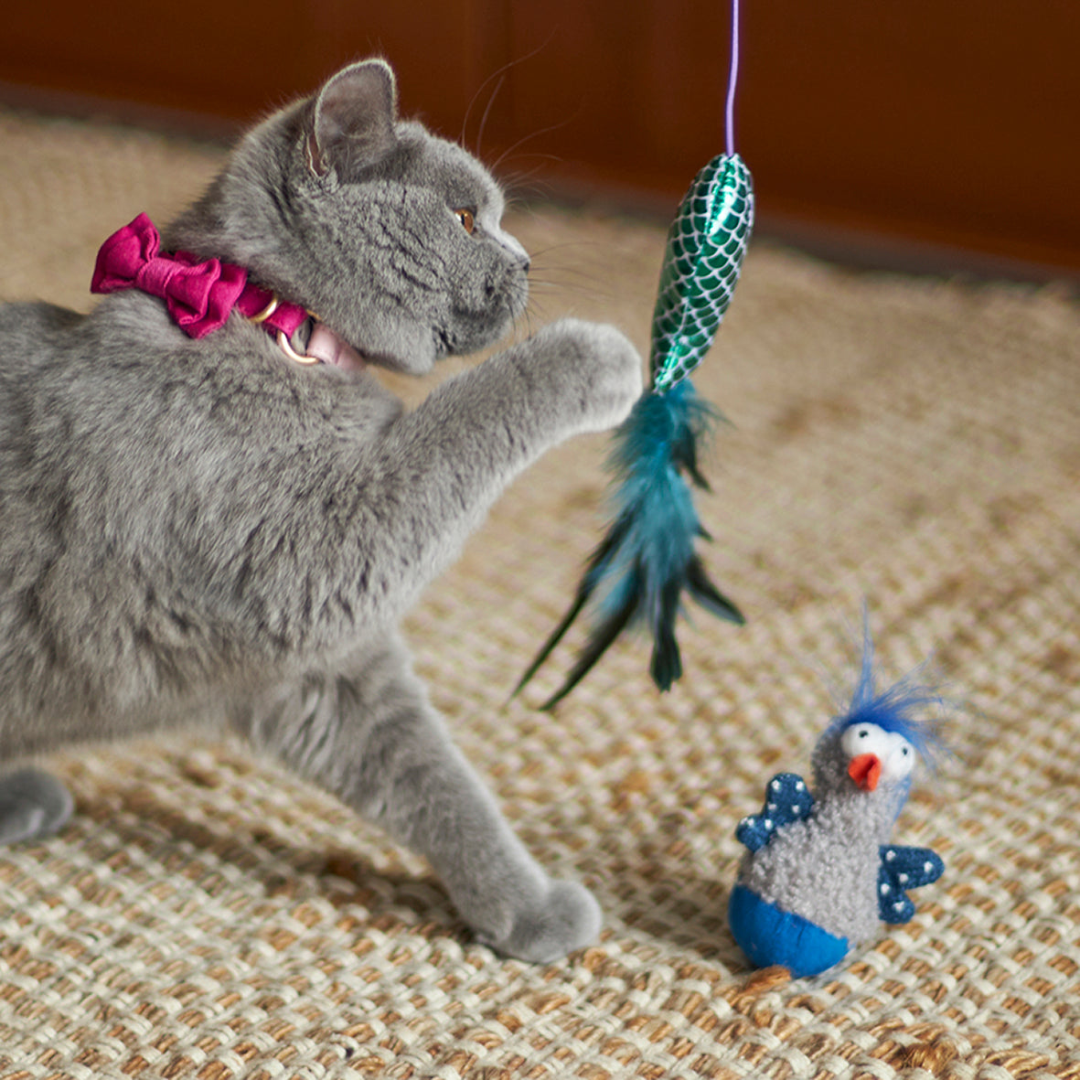 Duck on sale cat toy