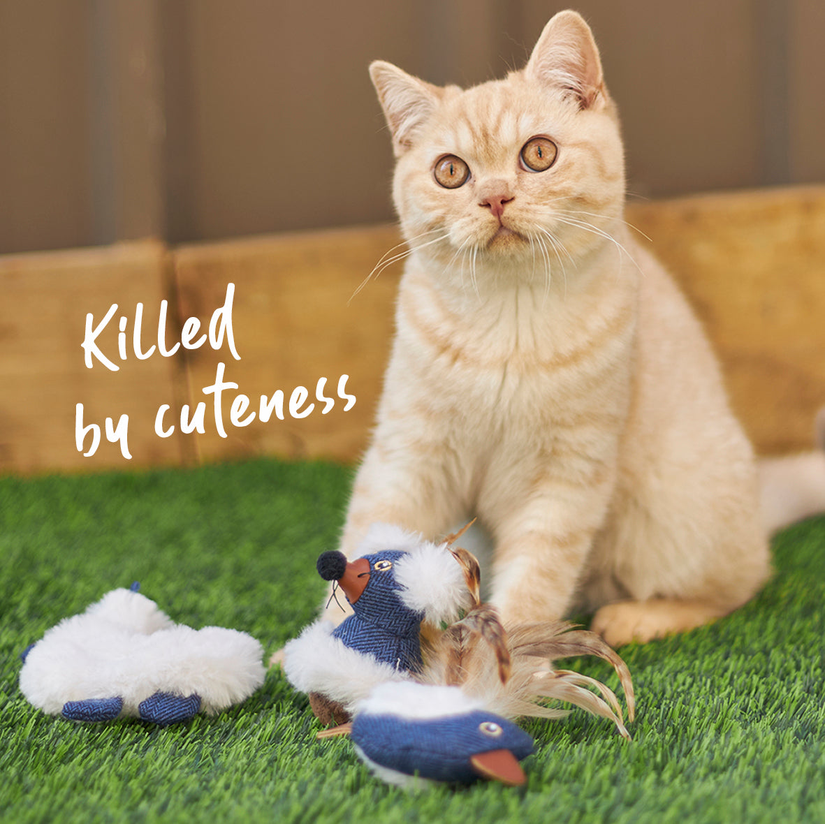 Chirpies dog toy online