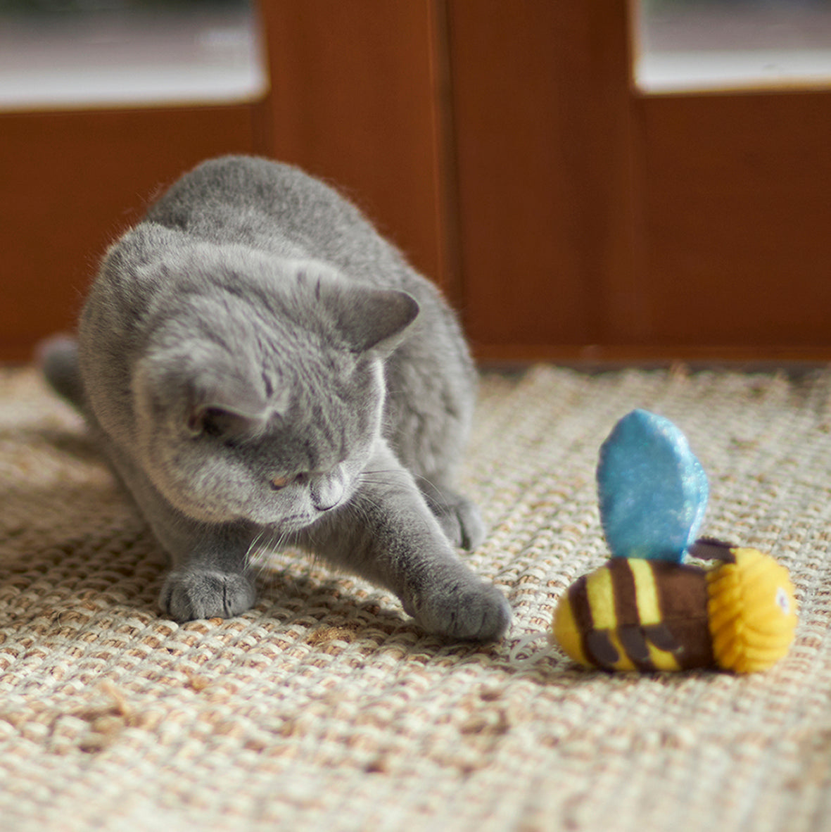 Bee cat shop toy