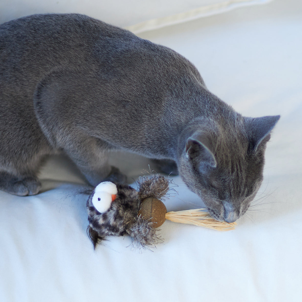 Owl cat toy sales