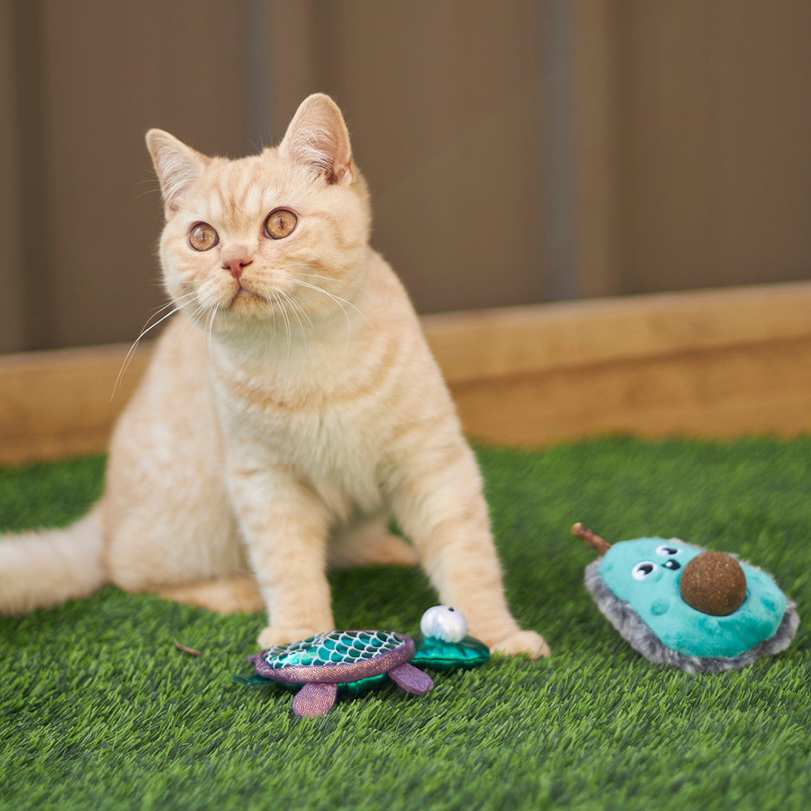 Cheap cat hot sale toys