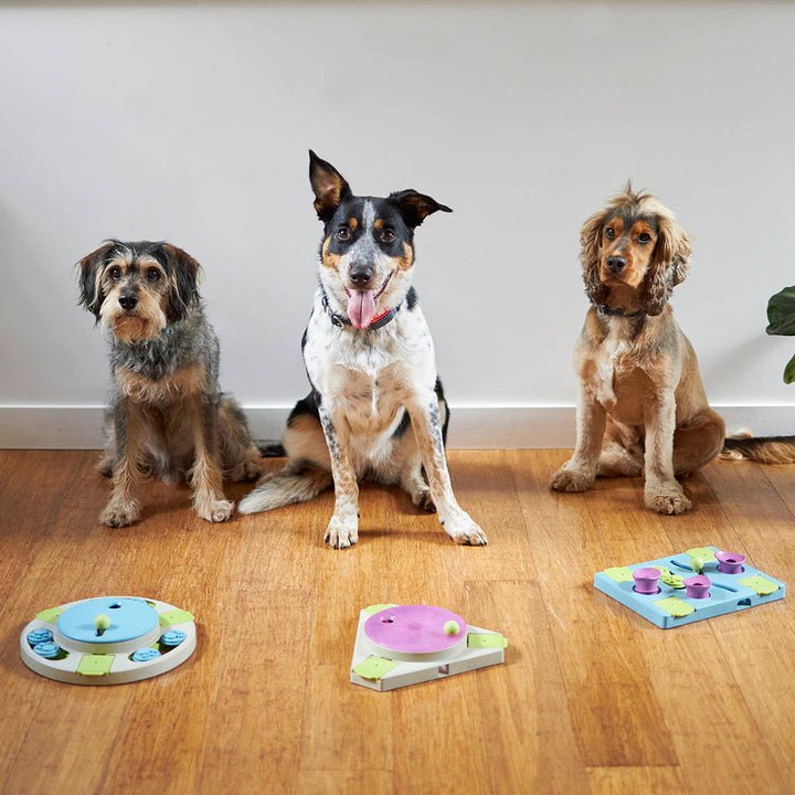 Triangle Turn Interactive Puzzle Play Dog Toy