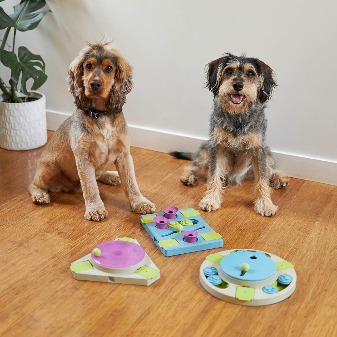 Interactive clearance dog puzzles