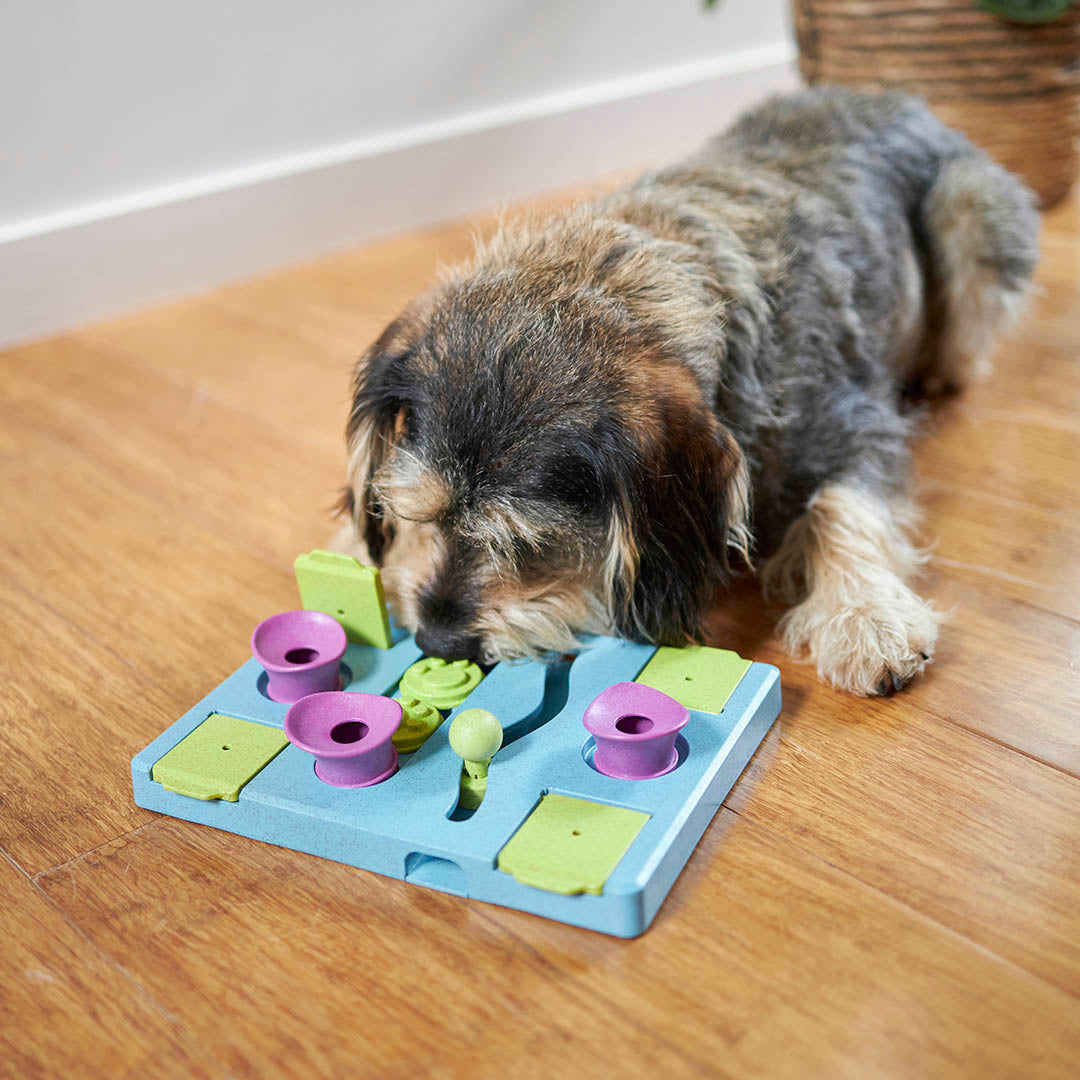 Rectangle Rumble Interactive Puzzle Dog Toy – Kazoo Pet Co