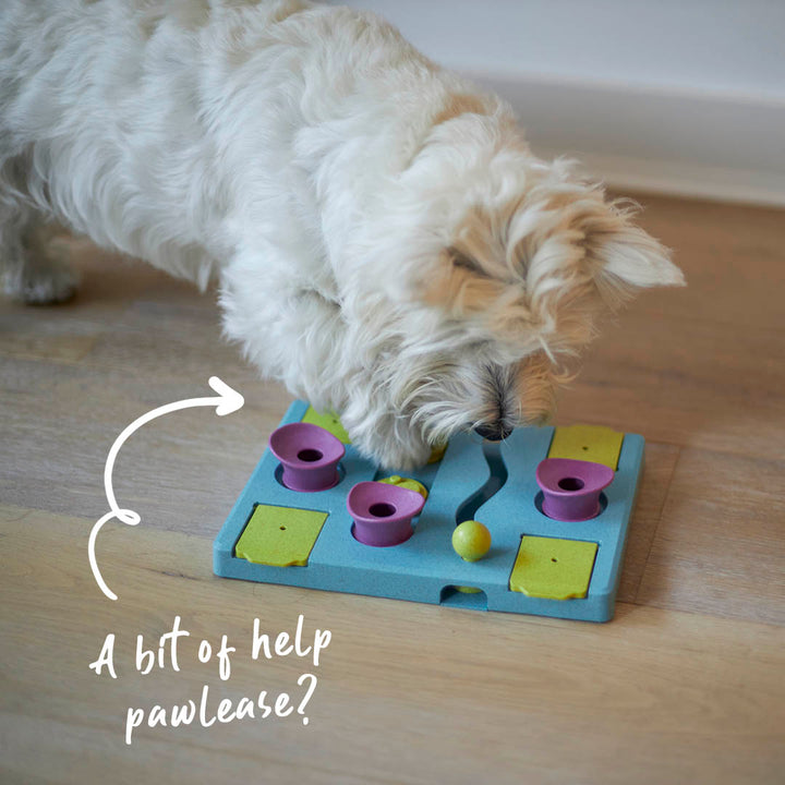 Rectangle Rumble Interactive Puzzle Dog Toy