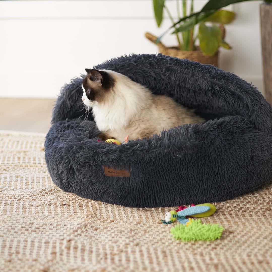 Best cat beds australia sales