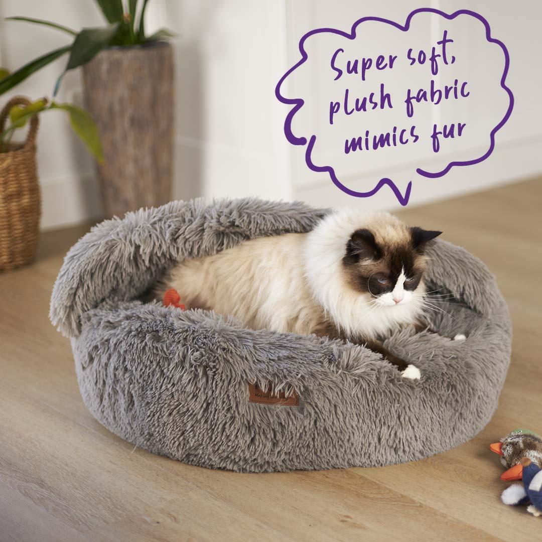 Kazoo cat discount bed