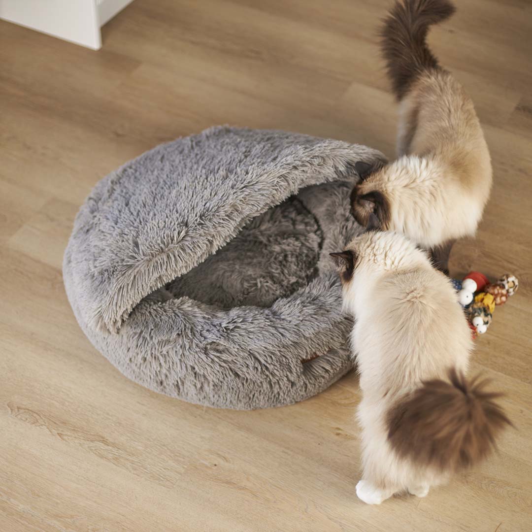 Kazoo cat hot sale bed