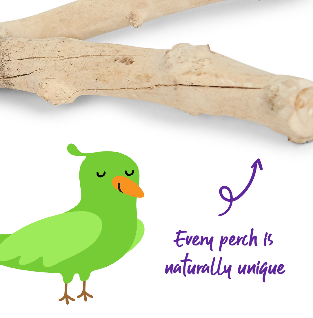 Natural Branch Perch - Kazoo Pet Co
