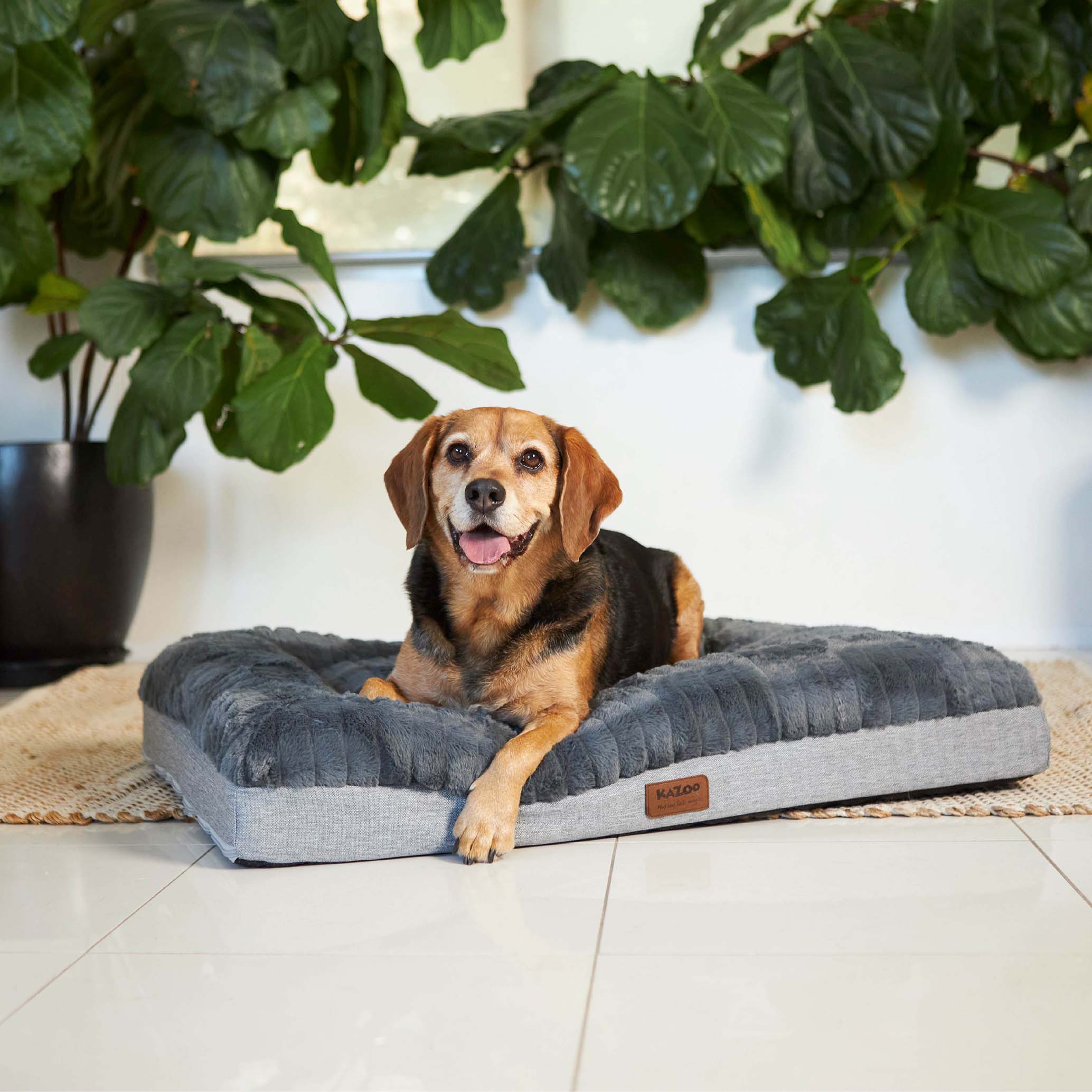 Cloud Comfort Dog Bed Charcoal Grey