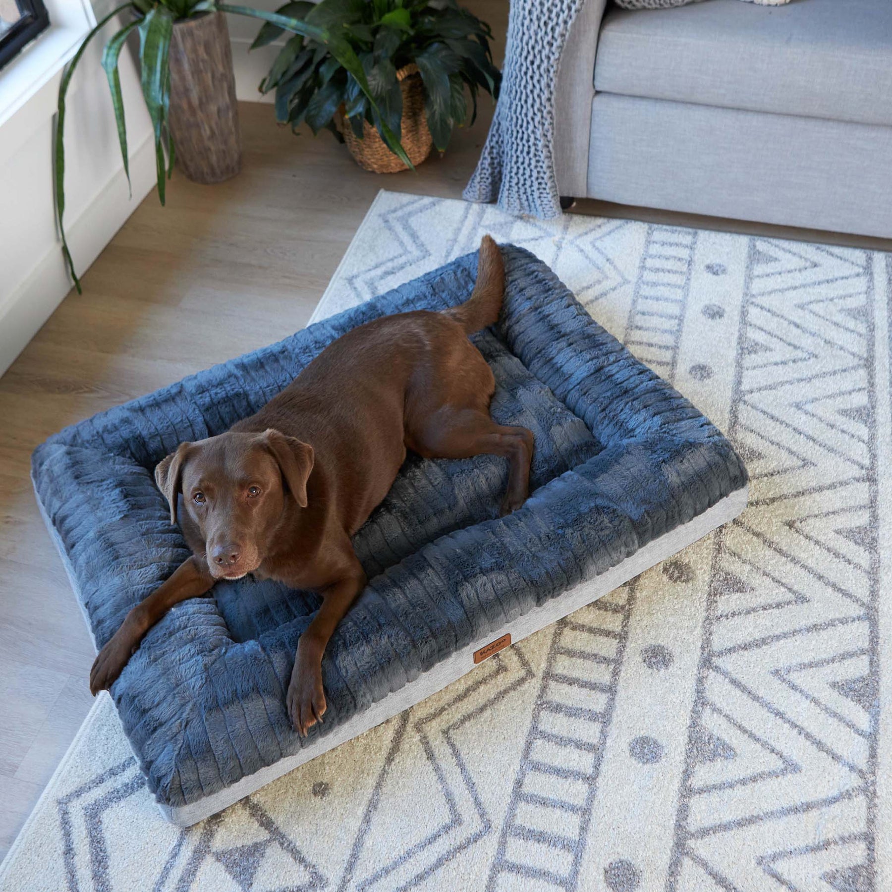 Cloud Comfort Dog Bed Charcoal & Grey Kazoo Pet Co