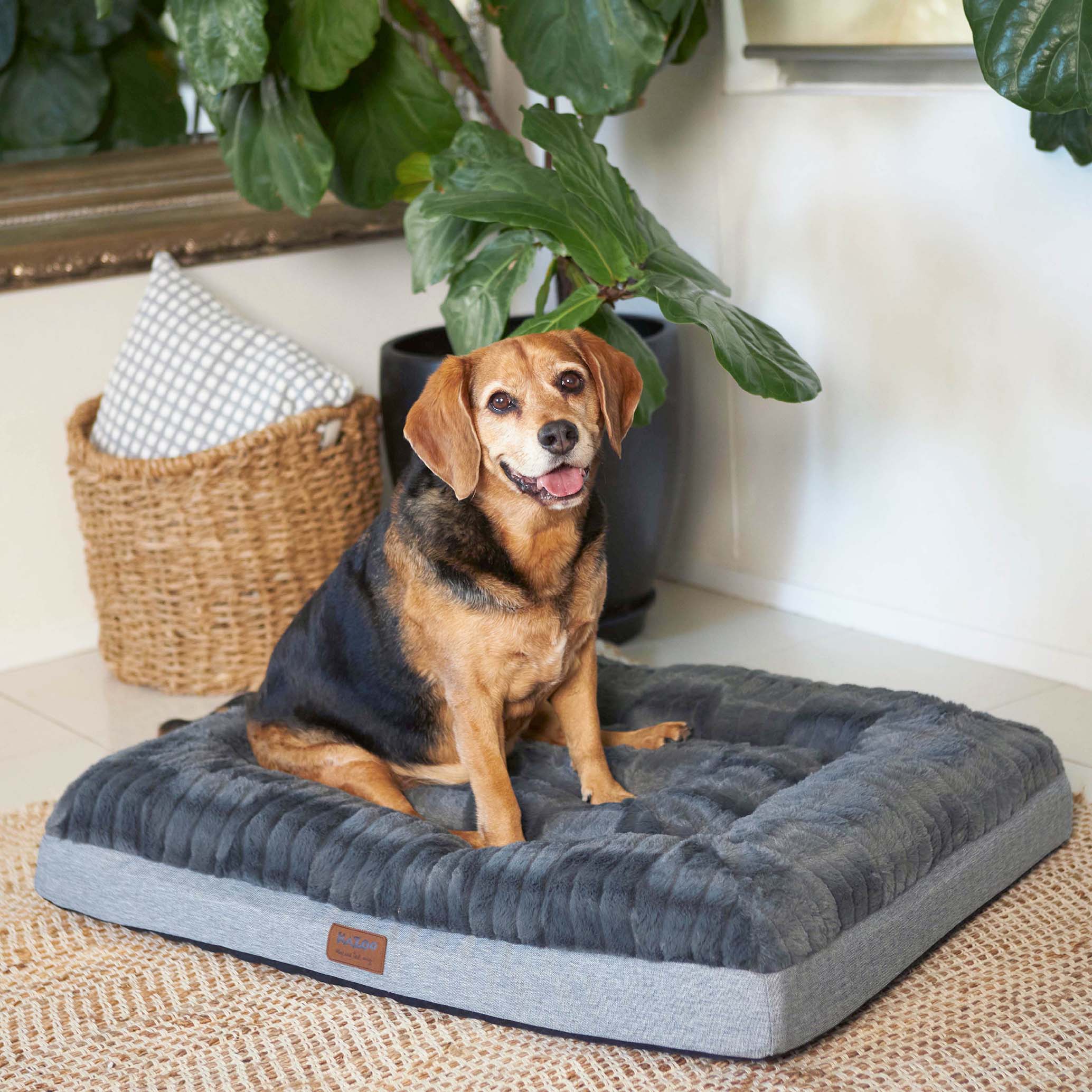 Kazoo on sale dog bed