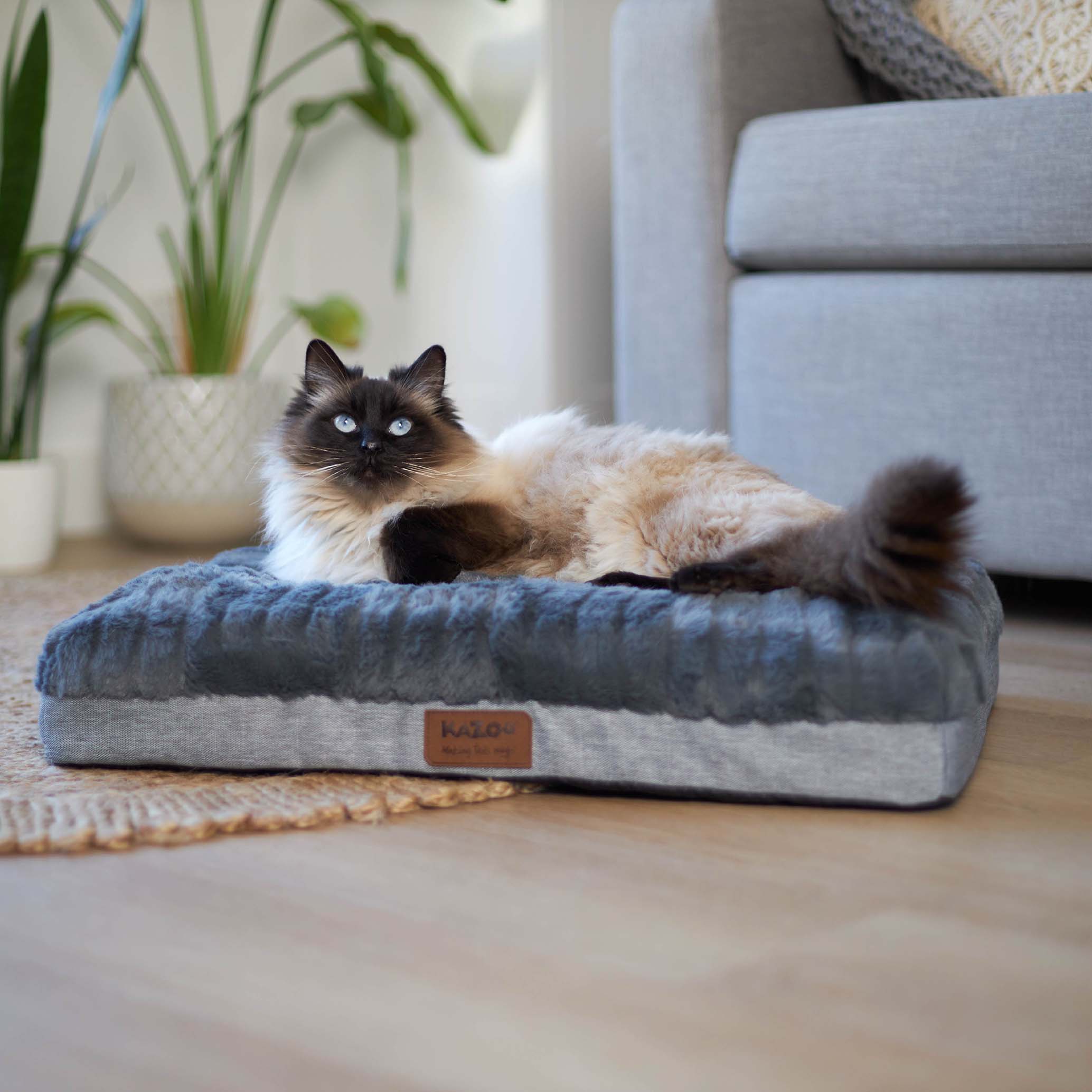 Cat bed australia discount