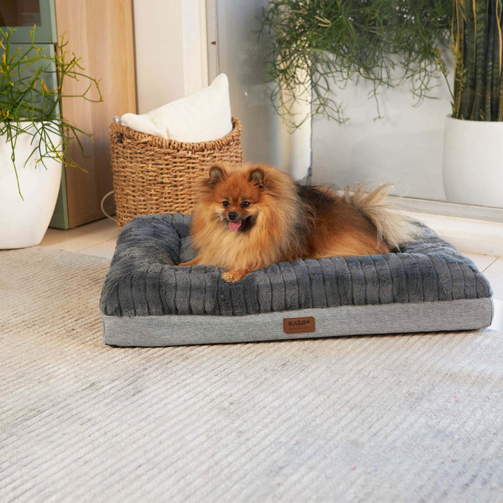 Cloud Comfort Dog Bed - Charcoal & Grey