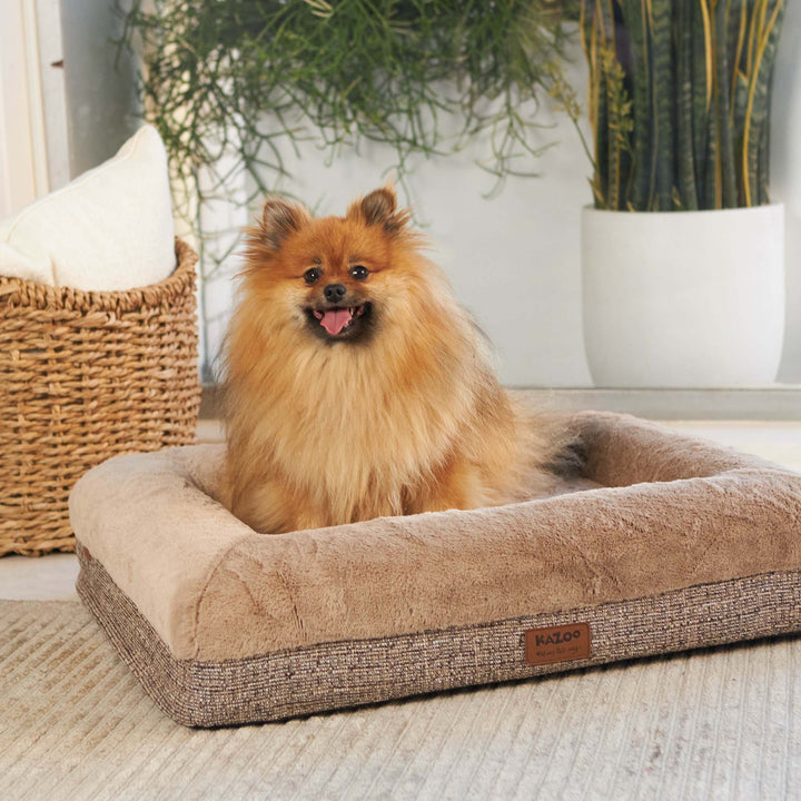 Wombat Dog Bed - Clay
