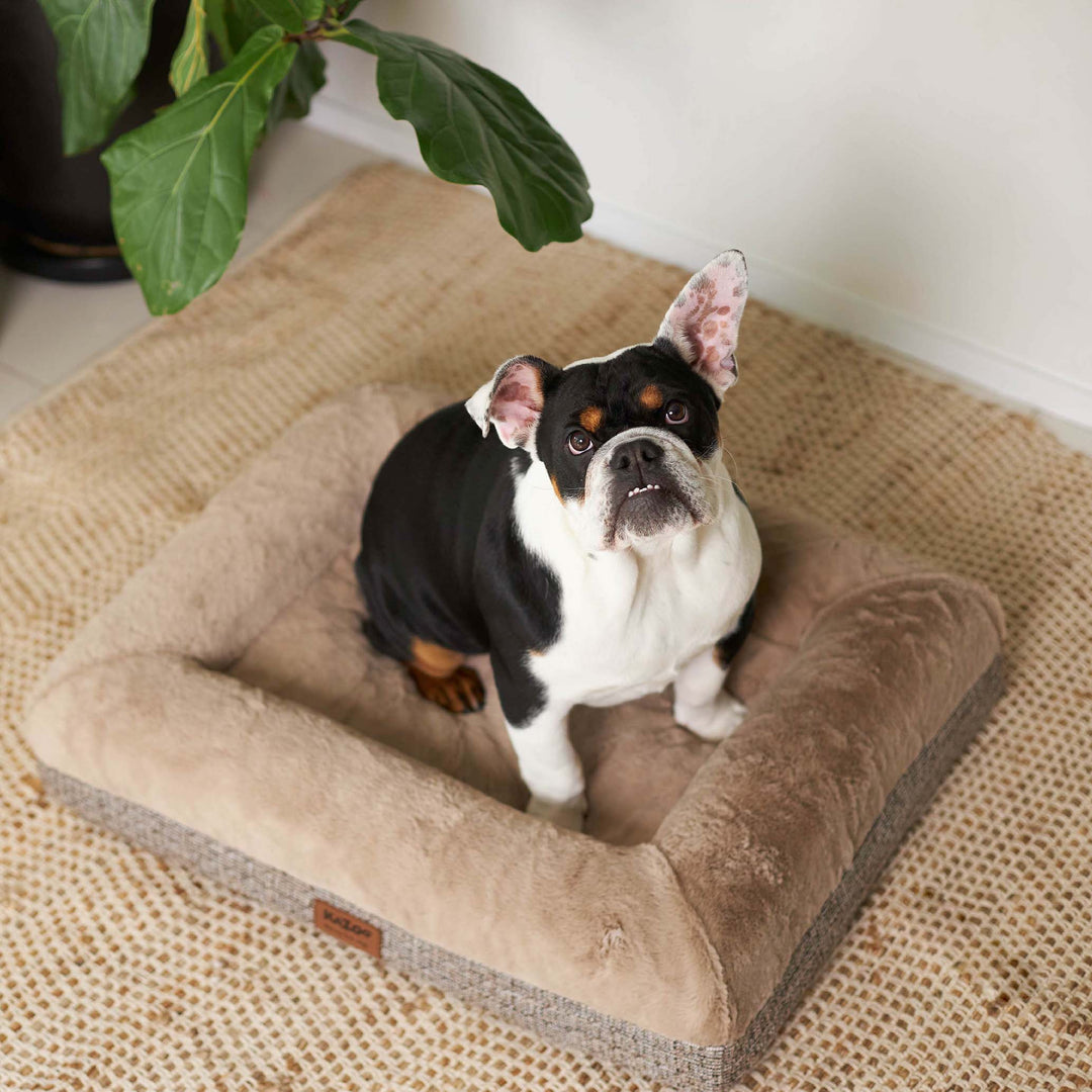 Wombat Dog Bed - Clay