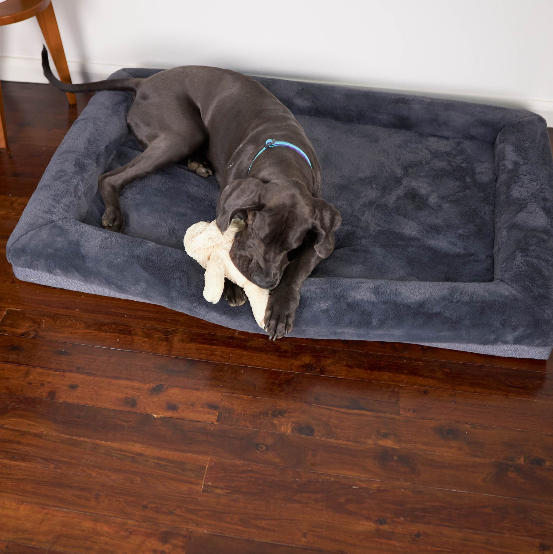 Wombat Dog Bed Dusk Kazoo Pet Co