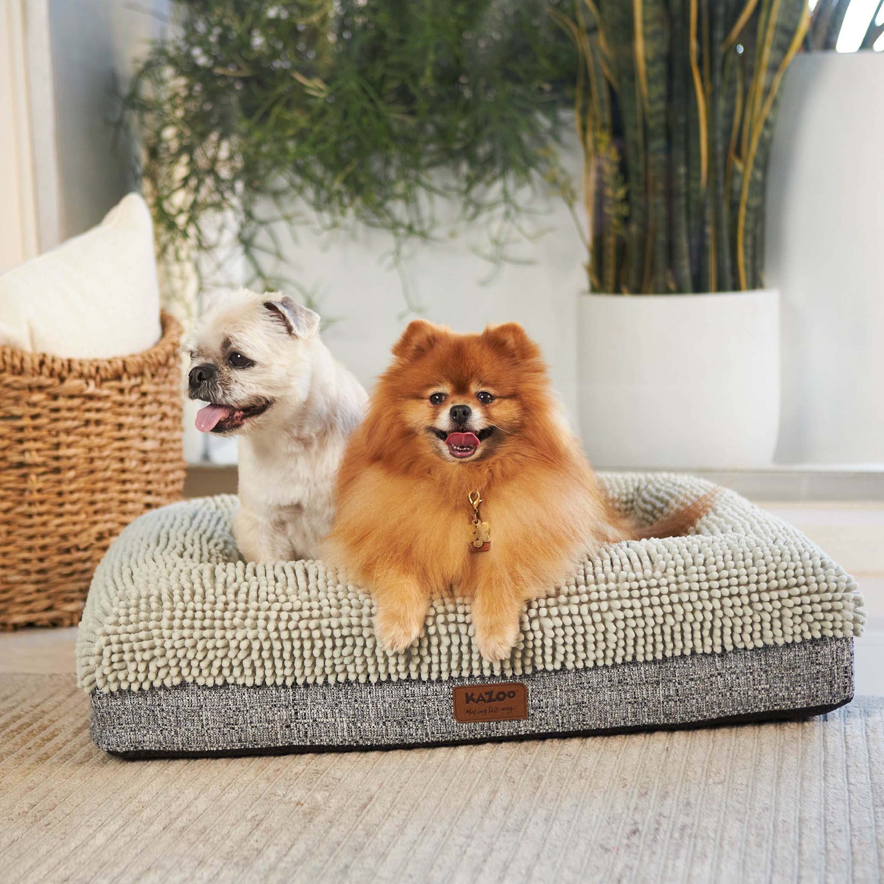 Wombat Dog Bed Massager Kazoo Pet Co