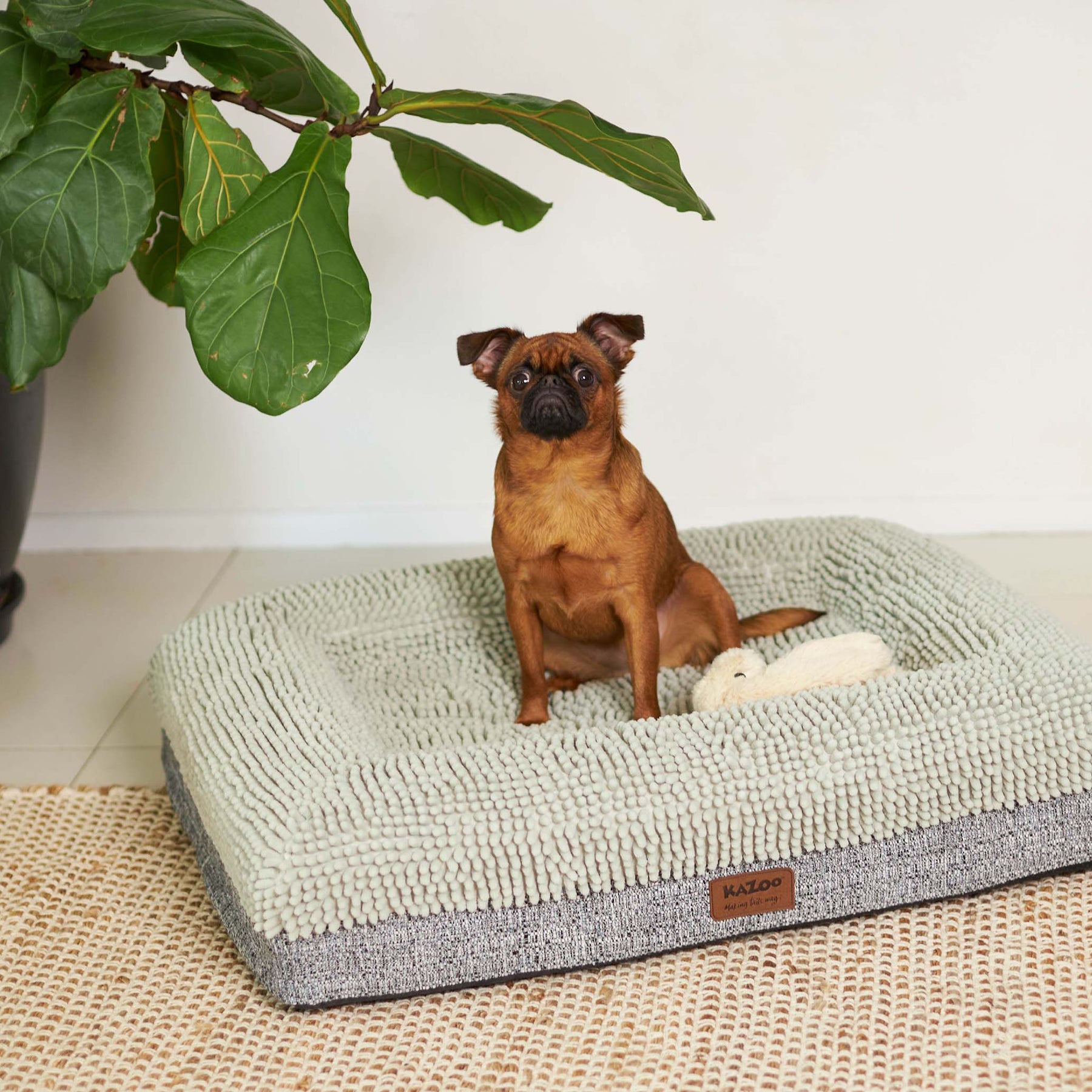 Wombat Dog Bed Massager Kazoo Pet Co