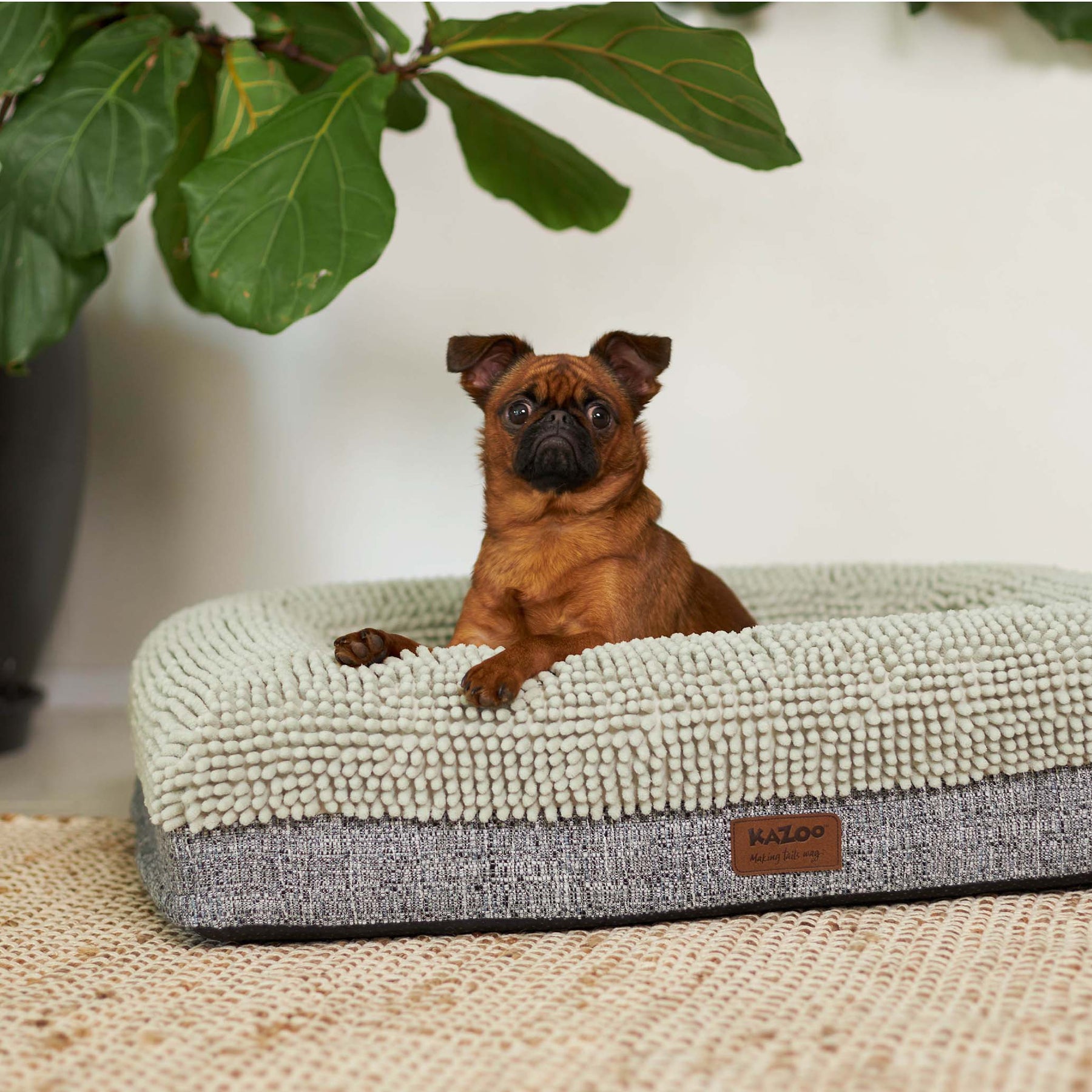 Wombat Dog Bed Massager Kazoo Pet Co