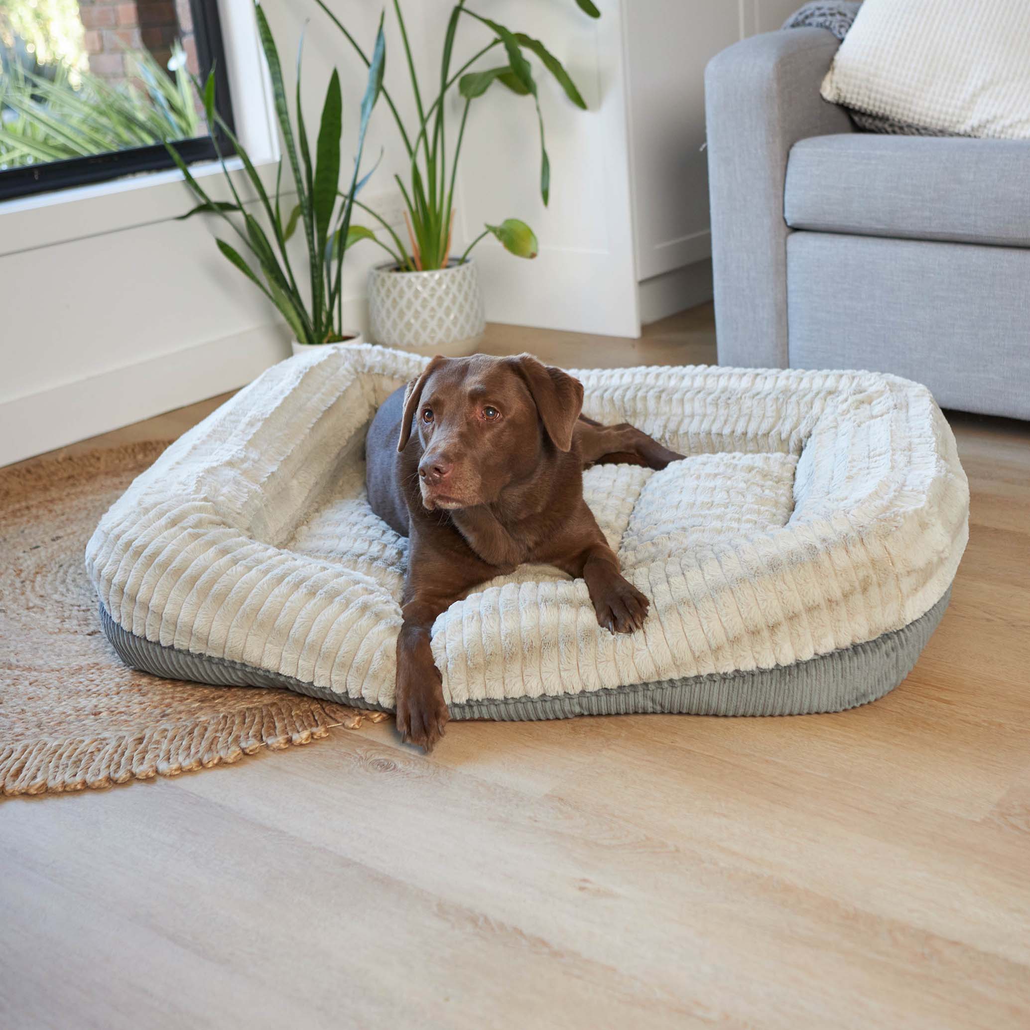 Honey Possum Dog Bed Kazoo Pet Co