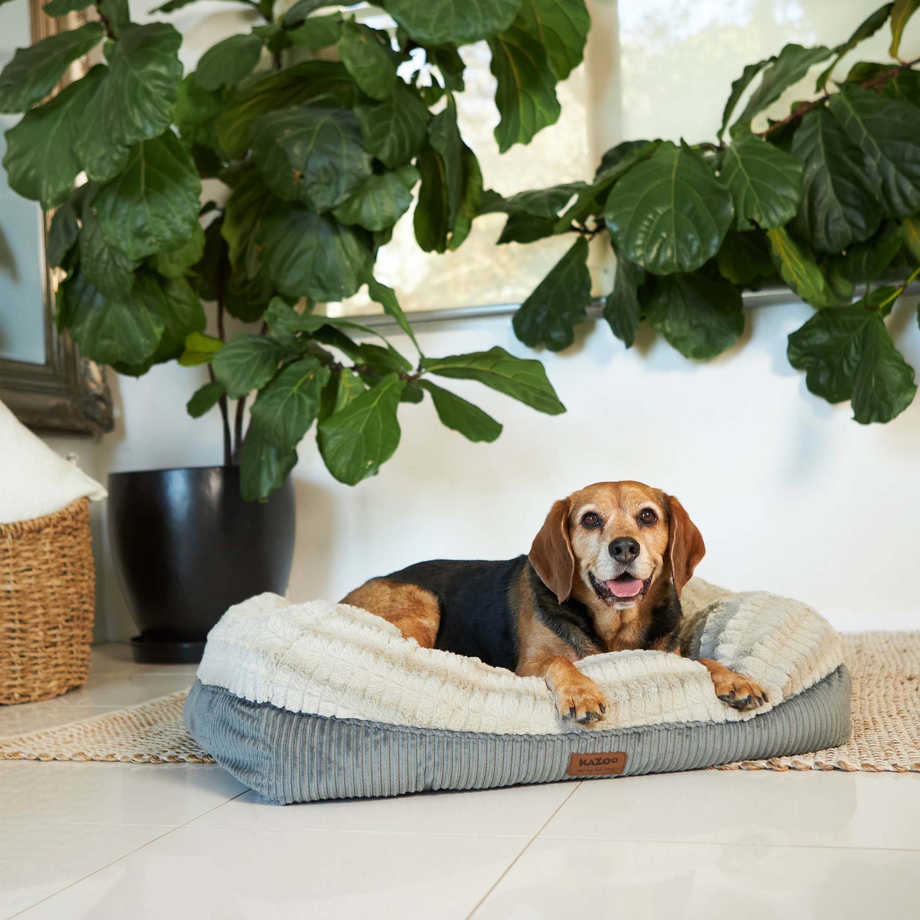 Honey Possum Dog Bed Kazoo Pet Co