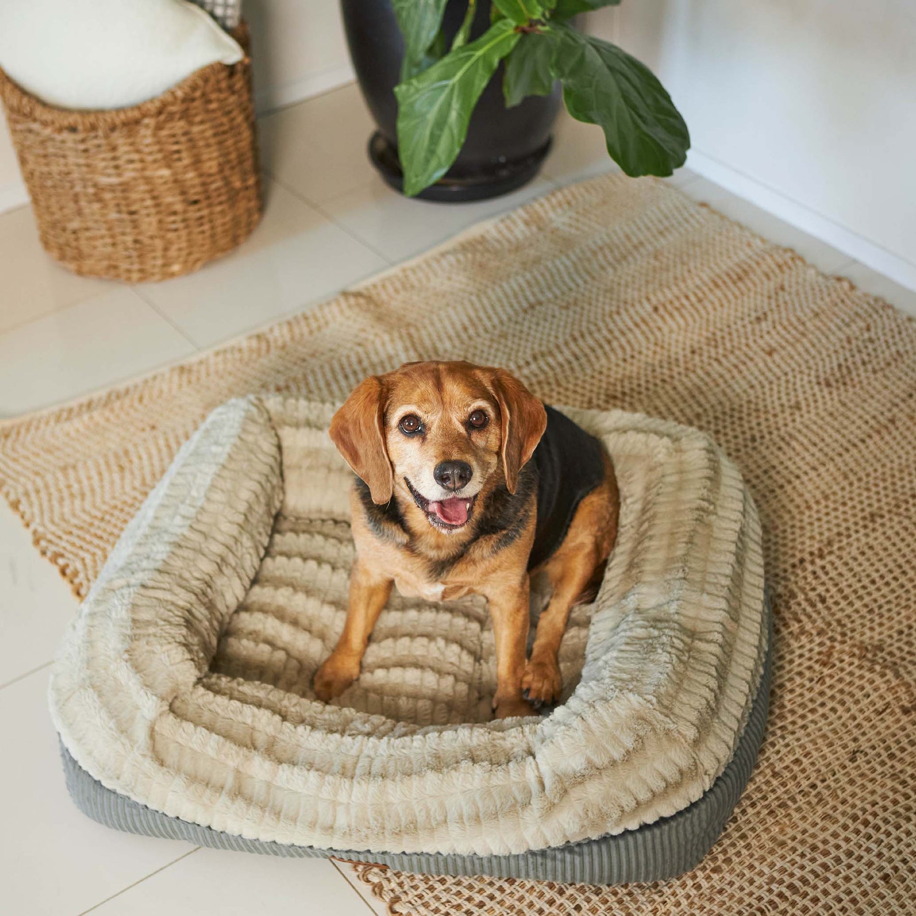 Honey Possum Dog Bed Kazoo Pet Co