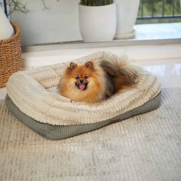Honey Possum Dog Bed