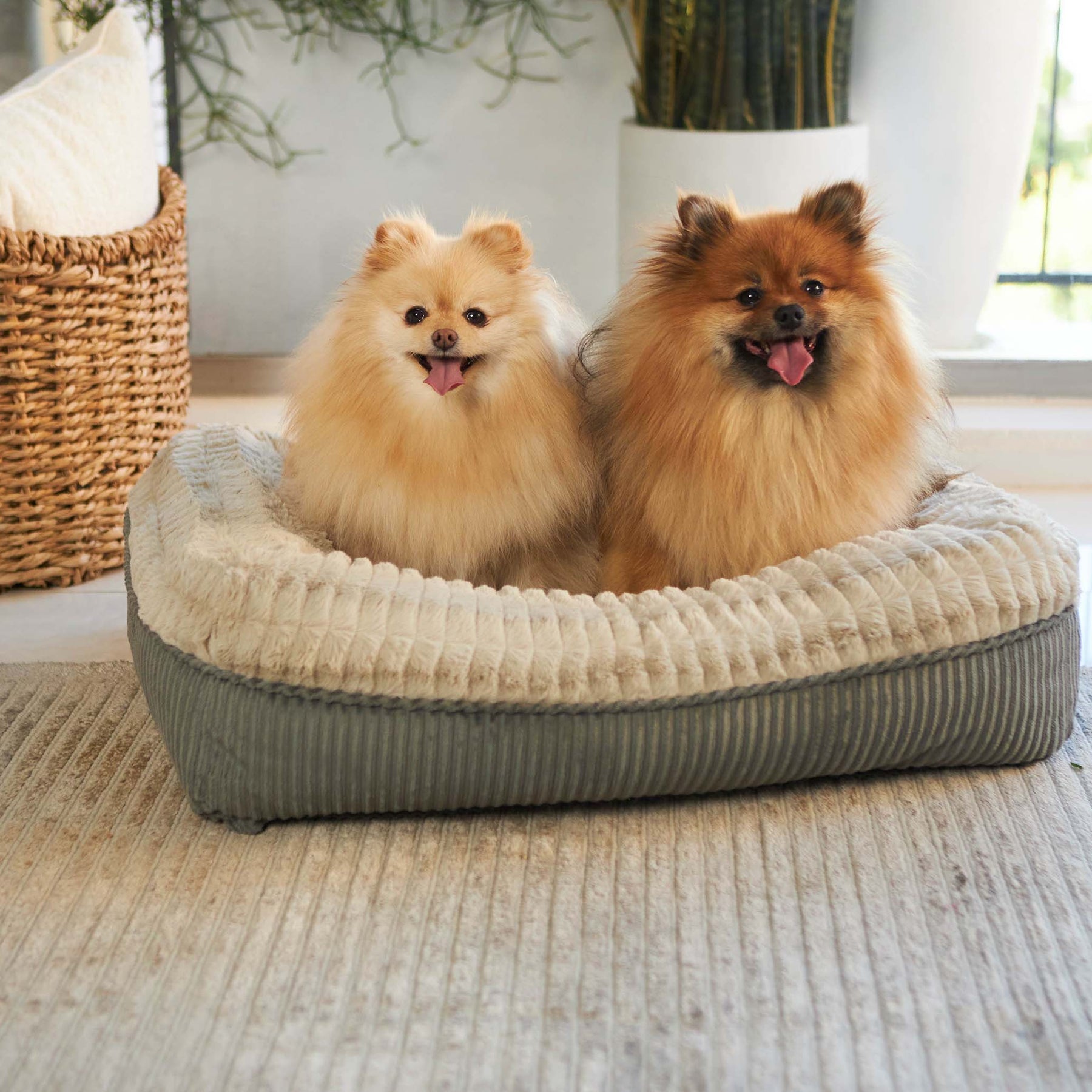 Honey Possum Dog Bed Kazoo Pet Co