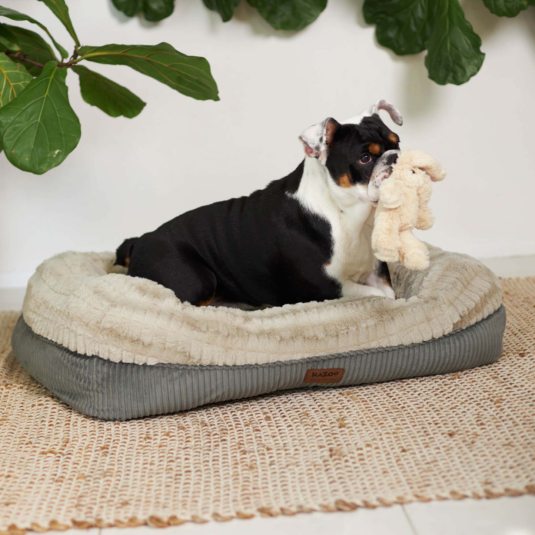 Honey Possum Dog Bed Kazoo Pet Co
