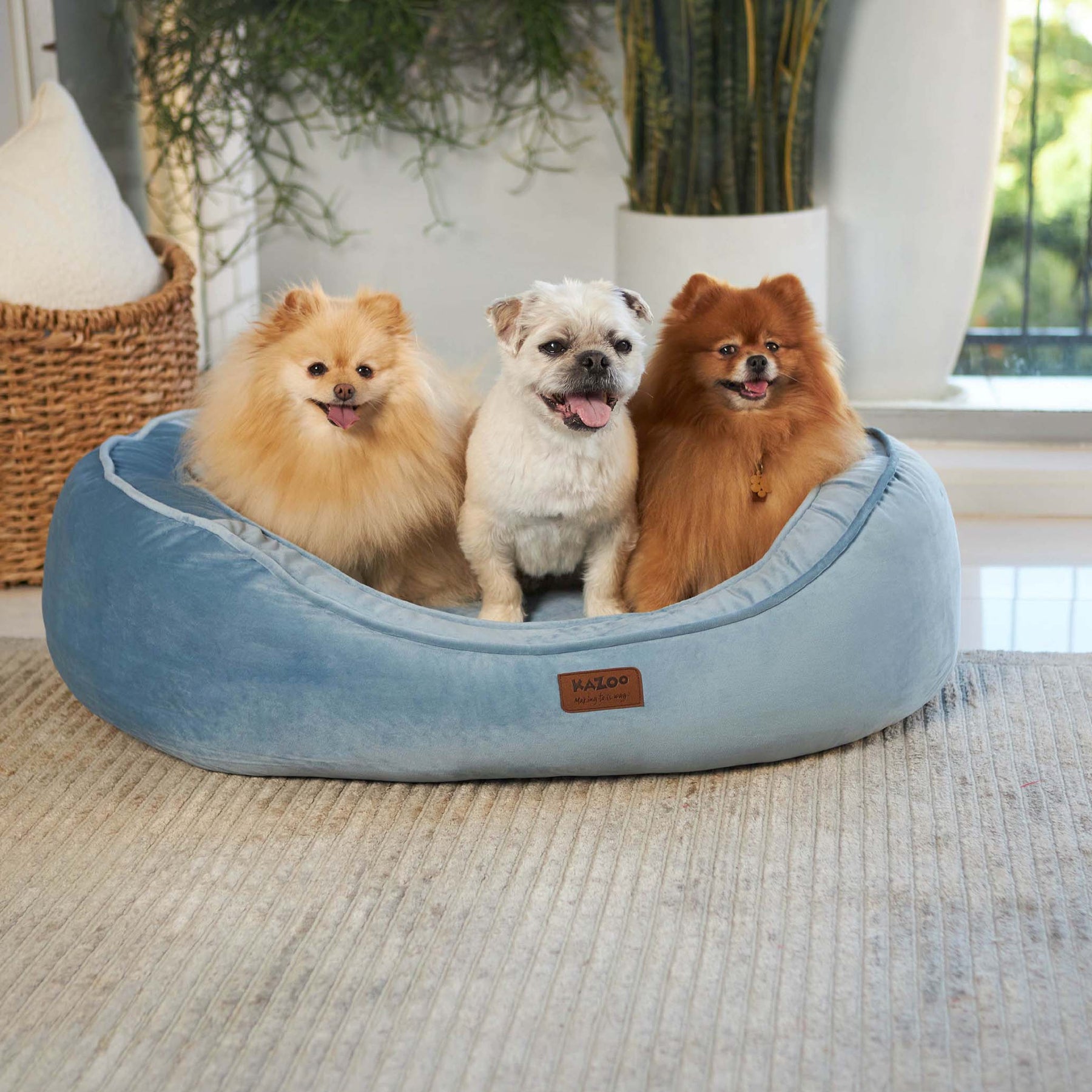 Cosy Bilby Dog Bed Twilight Kazoo Pet Co