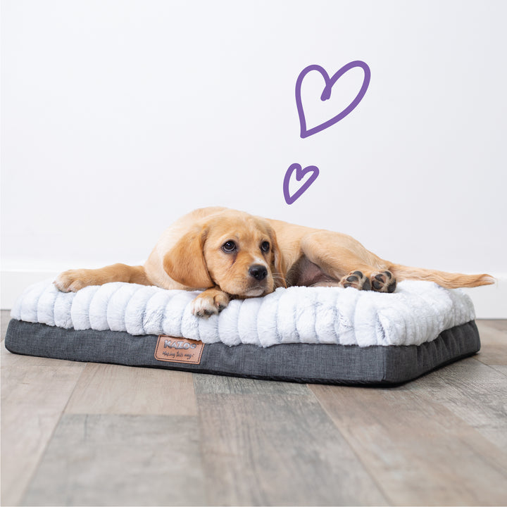 Cloud Comfort Bed - Grey - Kazoo Pet Co