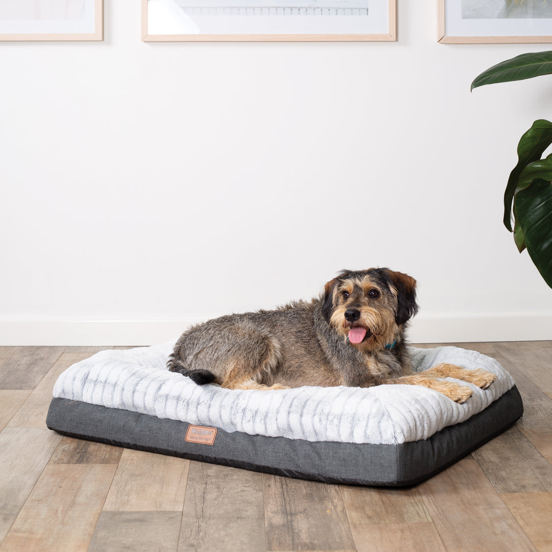Cloud Comfort Bed - Grey - Kazoo Pet Co