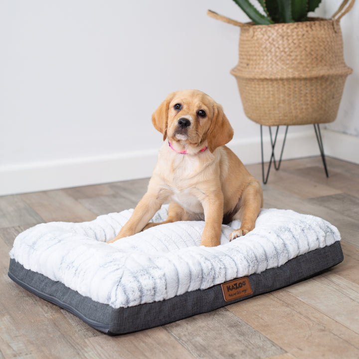 Cloud Comfort Dog Bed – Kazoo Pet Co