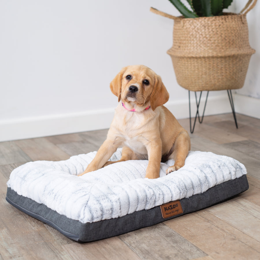 Cloud Comfort Dog Bed Kazoo Pet Co