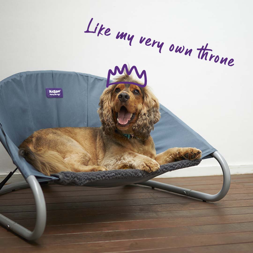 Dog outlet bed circle