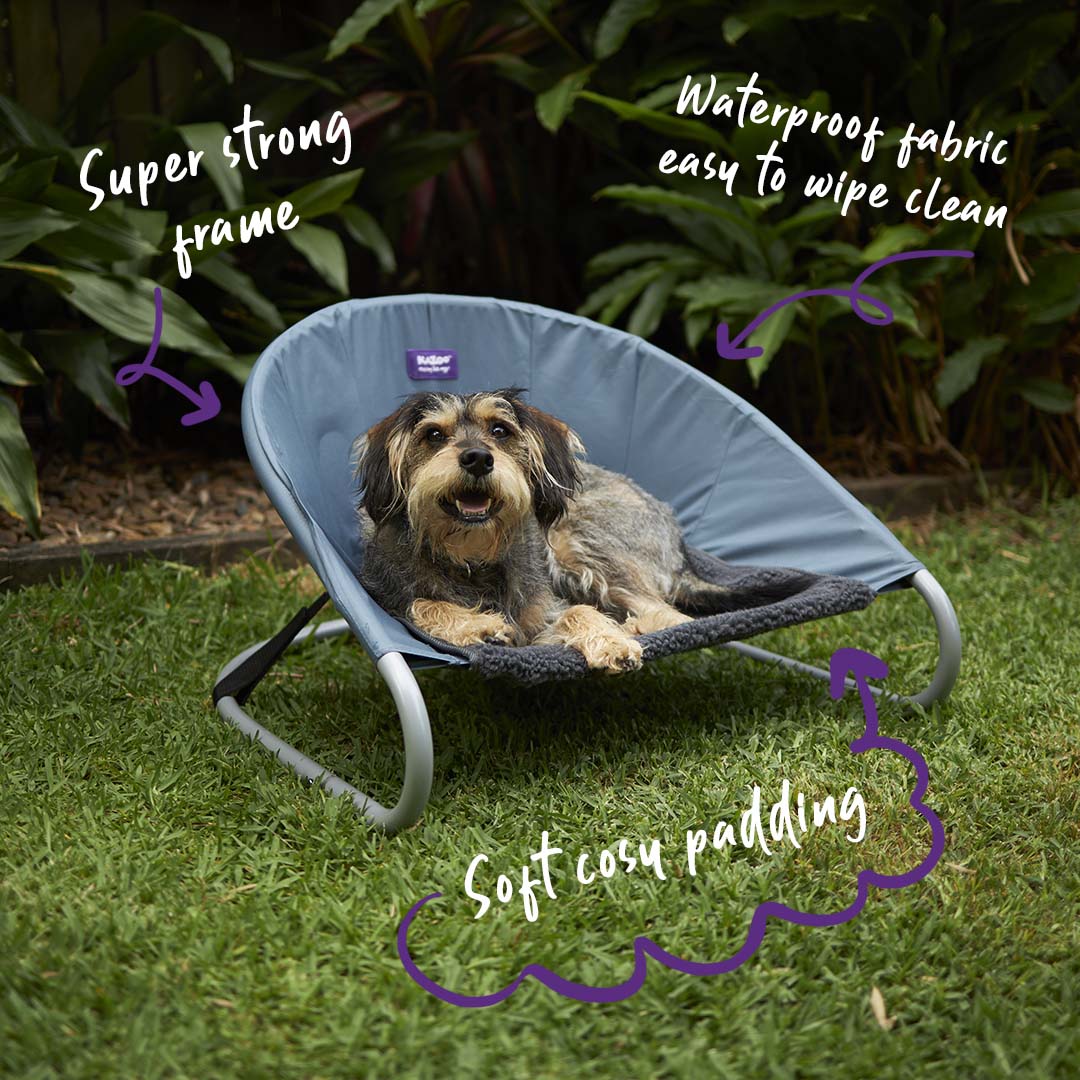 Sleepin Round Dog Outdoor Bed Kazoo Pet Co