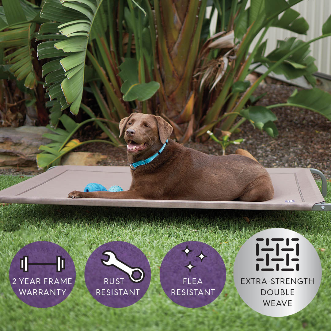 Extra large deals outdoor dog beds