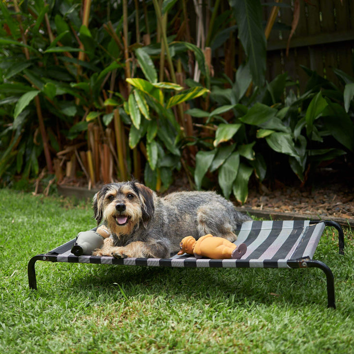 Everyday Outdoor Dog Bed - Black & White