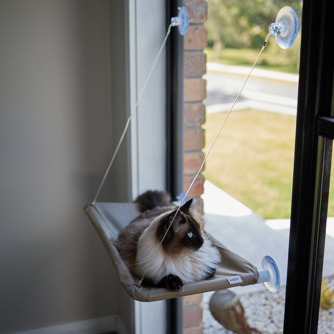 The Lookout Window Cat Bed - Kazoo Pet Co