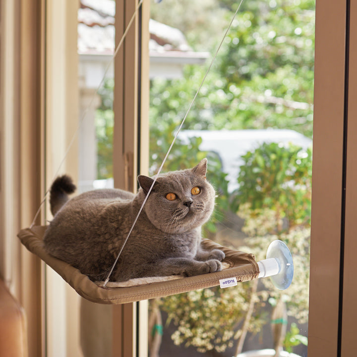 The Lookout Deluxe Window Cat Bed - Kazoo Pet Co
