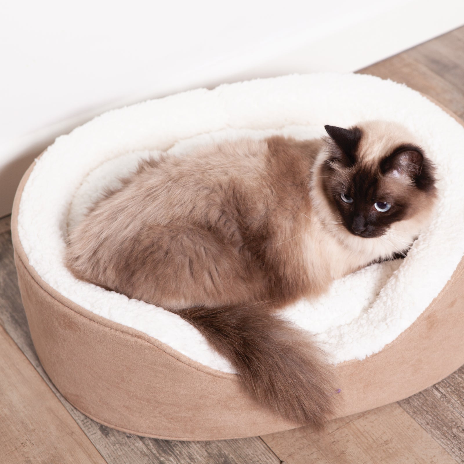 Manhattan Bed - Coffee & White - Cat - Kazoo Pet Co